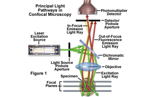 半导体量测设备都有什么类型